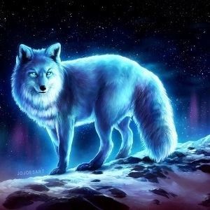 Meet your Posher, Connor